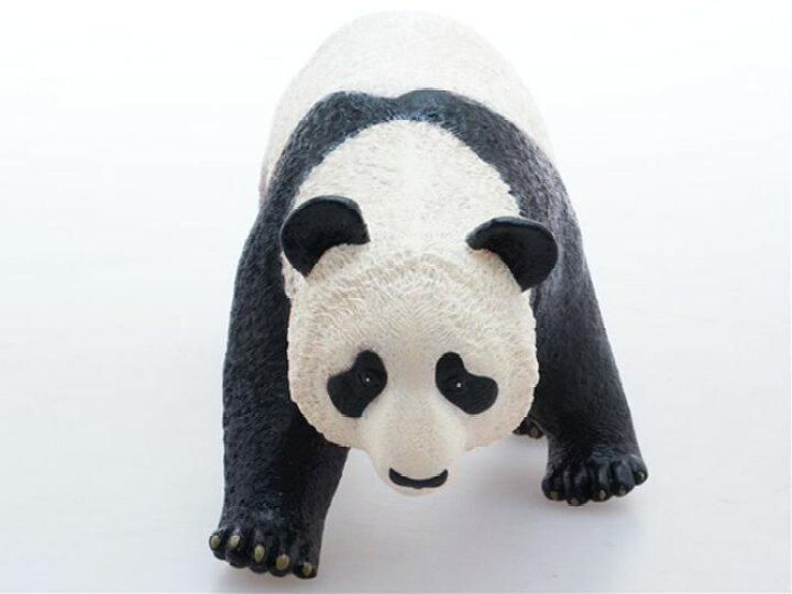楽天市場 ジャイアントパンダ ビッグサイズフィギュア ソフトビニールモデル リアルアニマル グッズ 通販 シネマコレクション夏休み 自由研究 理科 キャラクターのシネマコレクション