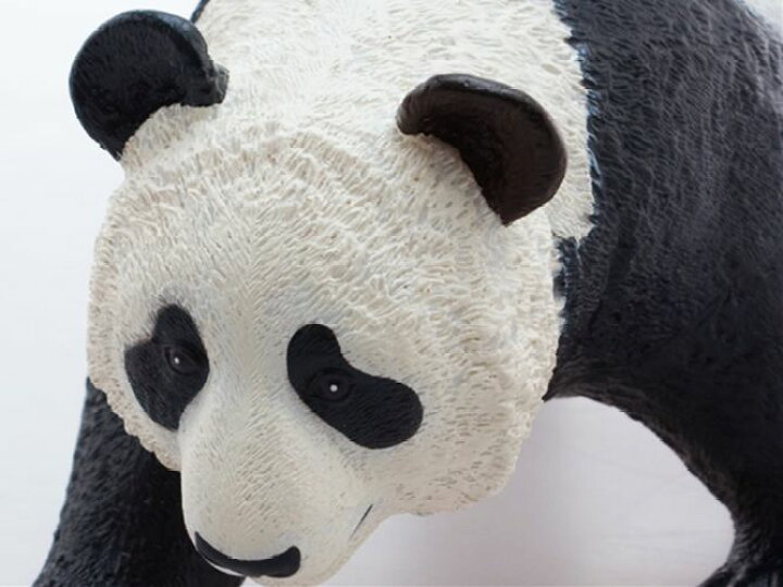 楽天市場 ジャイアントパンダ ビッグサイズフィギュア ソフトビニールモデル リアルアニマル グッズ 通販 シネマコレクション夏休み 自由研究 理科 キャラクターのシネマコレクション