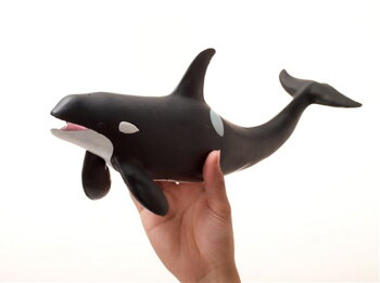 楽天市場 シャチ ビッグサイズフィギュア ソフトビニールモデル 海洋生物 グッズ 通販 夏休み 自由研究 理科 キャラクターのシネマコレクション