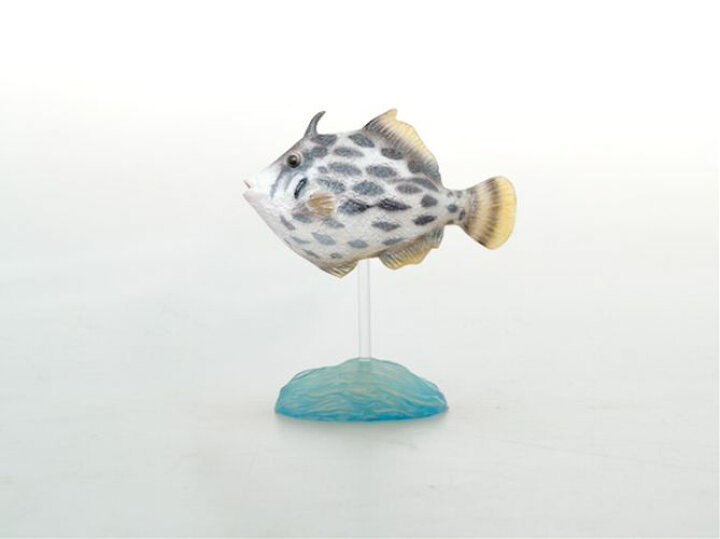 楽天市場 カワハギ フィギュアキーリング 台座付き フィッシュ 魚釣り グッズ 通販 夏休み 自由研究 理科 キャラクターのシネマコレクション