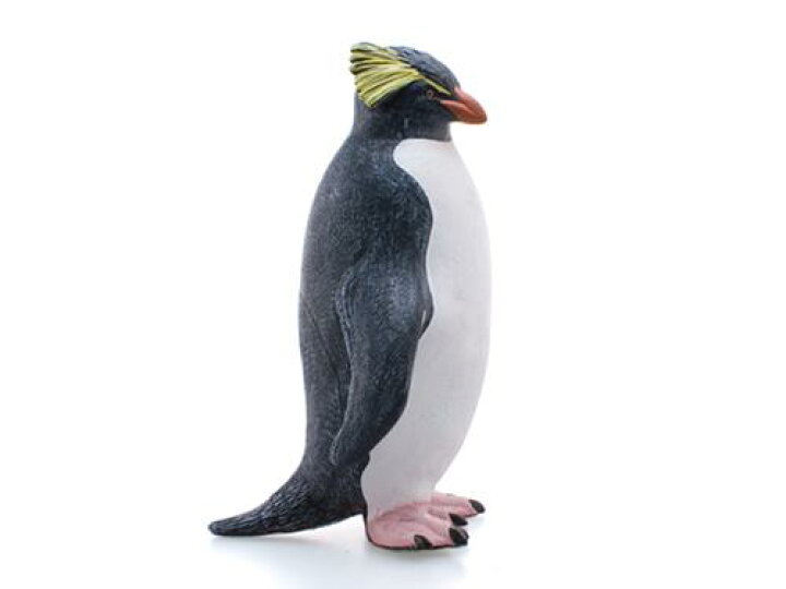 楽天市場 イワトビペンギン ビッグサイズフィギュア ソフトビニールモデル リアルアニマル グッズ 通販 シネマコレクション夏休み 自由研究 理科 キャラクターのシネマコレクション