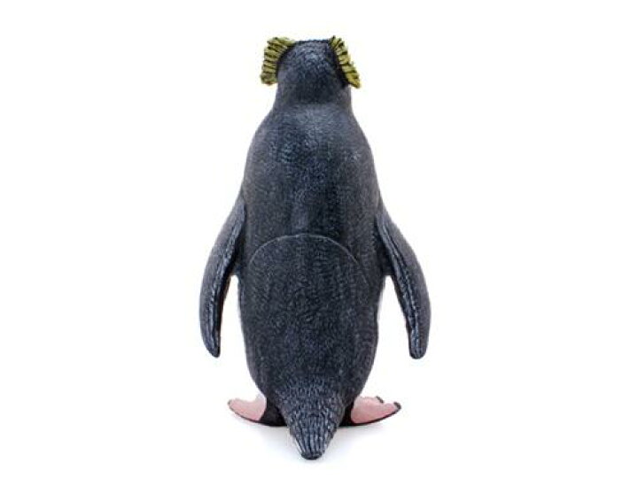 楽天市場 イワトビペンギン ビッグサイズフィギュア ソフトビニールモデル リアルアニマル グッズ 通販 シネマコレクション夏休み 自由研究 理科 キャラクターのシネマコレクション