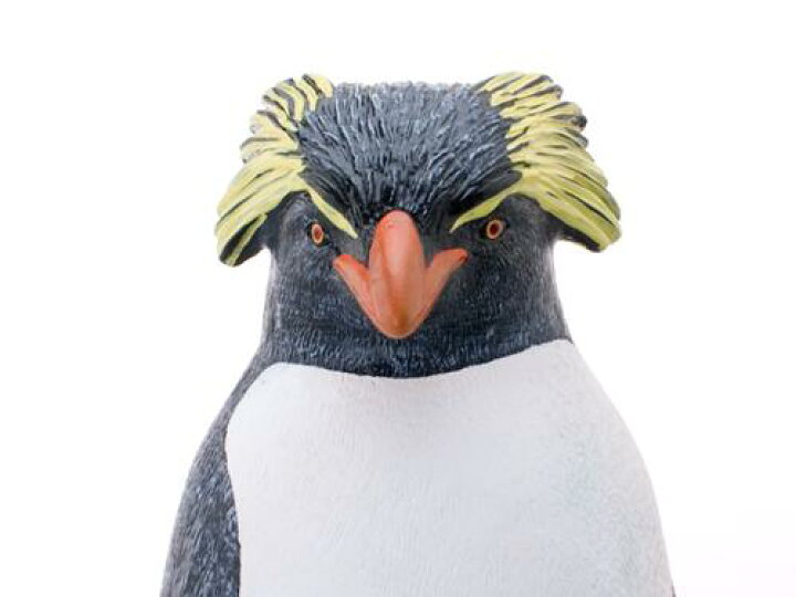 楽天市場 イワトビペンギン ビッグサイズフィギュア ソフトビニールモデル リアルアニマル グッズ 通販 シネマコレクション夏休み 自由研究 理科 キャラクターのシネマコレクション