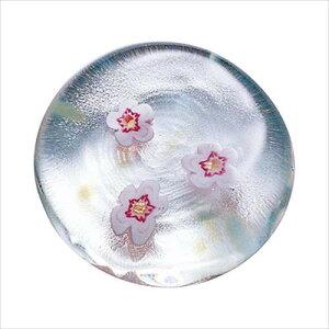 i Ìyтǂ u KXu 5Zbg t̂炦 ~ AfA { e[uEGAΒˏɎqʔ Vl}RNV