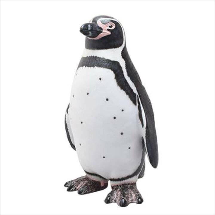 楽天市場 フンボルトペンギン フィギュア ビッグサイズフィギュア ソフトビニールモデル アニマル フェバリット インテリア 玩具 海の生き物 グッズ 通販 シネマコレクション キャラクターのシネマコレクション