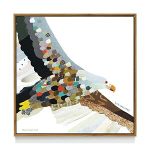 CeA pl A[g|X^[ t[ t kaho HOSOKAWA Hawk  Aj} fUC H zt Gʔ i Vl}RNV