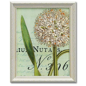 �y�|�C���g10�{ & �N�[�|���I�z���C���h �A�b�v�� �X�^�W�I �t�����[�A�[�g Art Frames �{�^�j�[�N �u���[2 �M�t�g �� �z�t���|�X�^�[ �C���e���A �O�b�Y �ʔ� ���i �V�l�}�R���N�V����