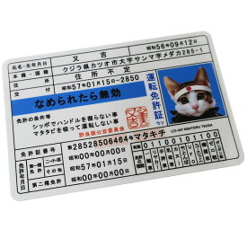 楽天市場 なめ猫 免許証の通販
