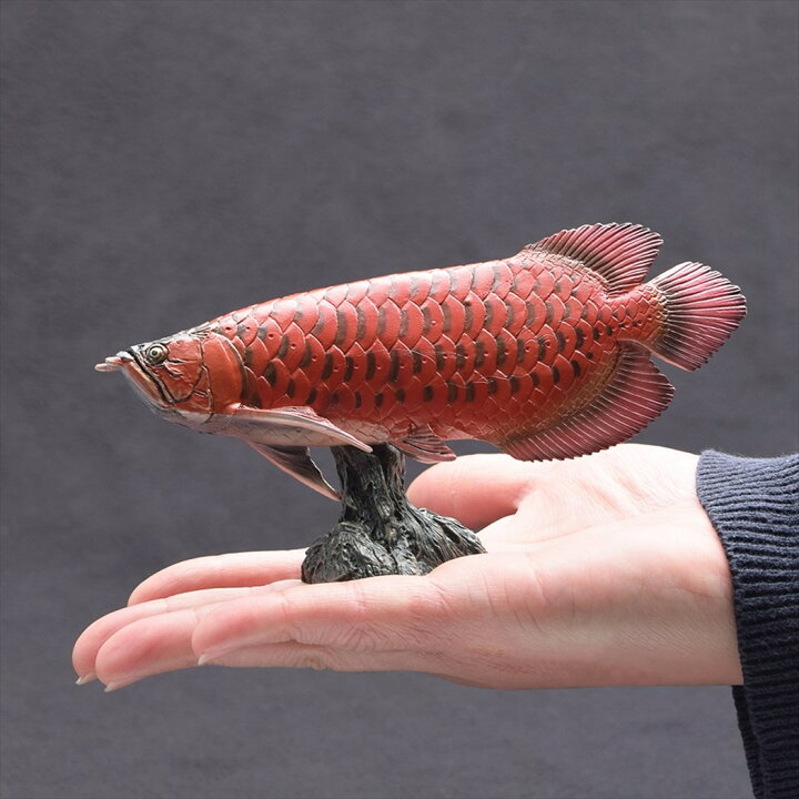 楽天市場】アジアアロワナ フィギュア ソフトモデルフィギュア 紅龍 