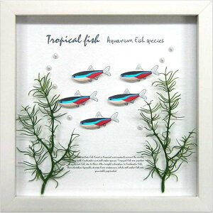 �y�|�C���g10�{ & �N�[�|���I�z�A�[�g�|�X�^�[ �z�t Aqua Frame �z���i �A�N�A�t���[�� Neon Tetra ���H�� �z���i �M�t�g �����C���e���A ���i