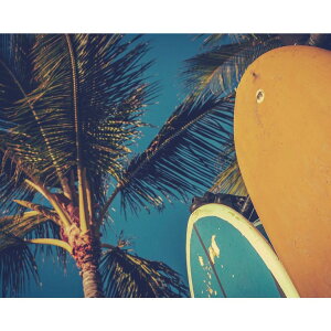 y|Cg10{Izv` LoXA[g ʐ^ A[g Petit Canvas Art T[t{[h H t[X Mtg CeAʔ i Vl}RNV