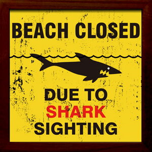 �y�|�C���g10�{ & �N�[�|���I�zSIGN FRAME �J�t�F �C���e���A �T�C���t���[�� Shark Sighting ���H�� �z���i �M�t�g �����C���e���A ���i