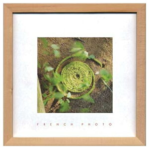 y|Cg10{ & N[|Izt`tHgOtB[ ʐ^ A[g French Photography Green Snake H ZFP-51909 ztCeAʔ i Vl}RNV