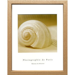 �y�ő�1000�~OFF�N�[�|���I�zPhotographie de Paris �ʐ^ �A�[�g �t�����`�t�H�g�O���t�B�[ Shell ZFP-52766 �z�t���C���e���A ���i