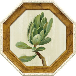 y|Cg10{ & N[|IzVrA @V@ Õ p ~jQ A[gt[ tg[h TLg3 SV-02553 19.5x19.5cm  Mtg zt|X^[CeAʔ i 