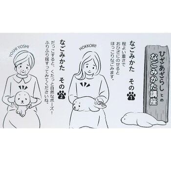 楽天市場 ぬいぐるみ ひざあざらし プラッシュドール S アニマル サンレモン プレゼント 癒し系 グッズ シネマコレクション キャラクターのシネマコレクション
