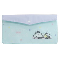 【最大1000円OFFクーポン！】＼期間限定SALE価格／抗菌 フラット マスクポーチ 不織布マスクケース フラ…