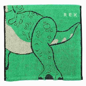 【ポイント10倍 & クーポン！】トイストーリー ミニタオル 抗菌防臭 ジャガード ハンカチタオル シルエットダイナソー ディズニー 丸眞 プチギフト 女の子 男の子 保育園 幼稚園 小学生 キャラクター グッズ メール便可 シネマコレクション プレゼント