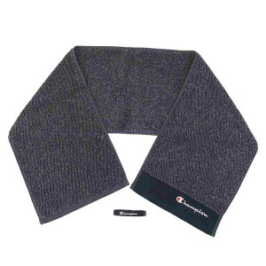 y|Cg10{ & N[|Iz`sI }t[^I oht RۖhL WK[h X O^I W[S ubN Champion  v[g X|[cuh ObY 