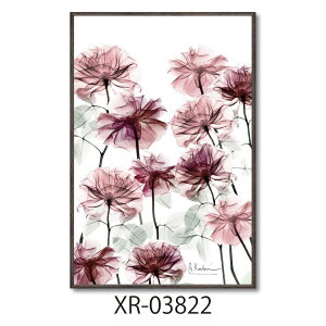 �y�|�C���g10�{ & �N�[�|���I�z�A���o�[�g�N�[�c�B�[�� �t�����[�A�[�g X RAY�L�����o�X�A�[�g �t�����[�x�b�h S�T�C�Y ���[�p���[ XR-03822 �z�t�� �C���e���A ���i �V�l�}�R���N�V����