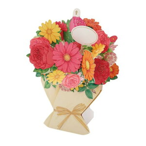 O[eBOJ[h t[ FA17-1 |bvAbvJ[h ړI IWnu[P ԑ TI o[Xf[J[h a j  ObY [։ Vl}RNV v[