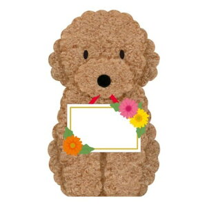 y12͖|Cg10{IzO[eBOJ[h ^NeL MU35-8 bZ[WJ[h ړI gCv[hv[g  TI o[Xf[J[h a j  ObY [