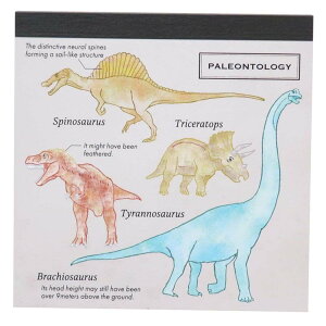 STUDY HOLIC  XNGApbh Ðw V Green Flash Vw pi ObY [։ Vl}RNV v[g j̎q ̎q Mtg