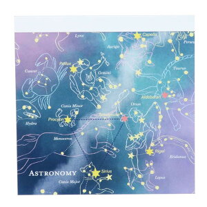 STUDY HOLIC  XNGApbh Vw II Green Flash Vw pi ObY [։ Vl}RNV v[g j̎q ̎q Mtg