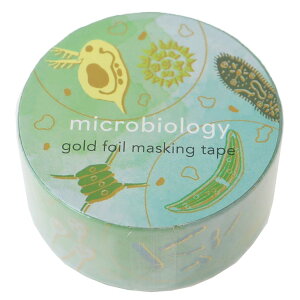 STUDY HOLIC }XLOe[v 20mm}Xe w Green Flash fR[V DECOe[v ObY [։ Vl}RNV v[g j̎q ̎q Mtg