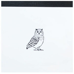 y|Cg10{ & N[|IzAnimal Series  pbh XNGA ~~YN Aj} Green Flash 100Ԃ 킢 ObY [։ Vl}RNV