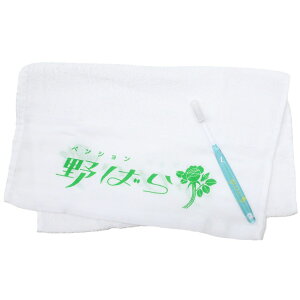 y12͖|Cg10{Izgm[ f^Zbg ^IuVZbg ΂ Green Flash s G gx ObY Vl}RNV