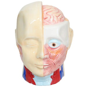 G 퐻 l̖͌^oN TA[g Z~bNtBMAoN G v[g Mtg ObY Vl}RNV