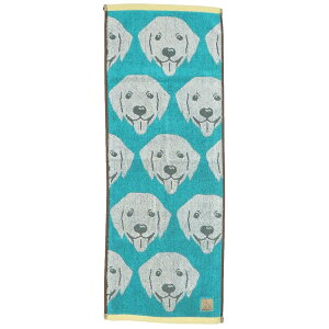 _ts[X tFCX^I WK[hXLj[^I uACY uh[ go[   킢 ObY [։ Vl}RNV