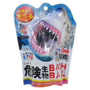 y|Cg10{ & N[|Izw̐}ӃCu  댯oX{[2 mR[|[V qƂC G ObY Vl}RNV