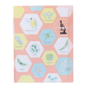 STUDY HOLIC |Pbgt@C A4NAubNt@C w Green Flash Vw G ObY Vl}RNV