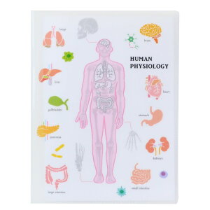 STUDY HOLIC |Pbgt@C A4NAubNt@C lސw Green Flash Vw G ObY Vl}RNV