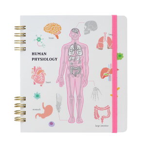 STUDY HOLIC Om[g Om[g XNGA lސw Green Flash G ObY [։ Vl}RNV