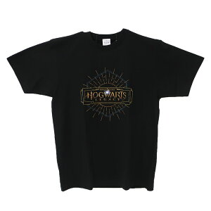 �y�|�C���g10�{ & �N�[�|���I�z�z�O���[�c ���K�V�[ T�V���c L ���S �E�B�U�[�f�B���O���[���h �X���[���v���l�b�g �R���N�V�����G�� WIZARDINGWORLD �O�b�Y ���[���։� �V�l�}�R���N�V����