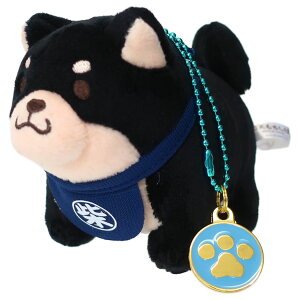 y|Cg10{ & N[|Iz }XRbg `[t ʂBC {[`F[  GXPCWp v[g LN^[ ObY Vl}RNV