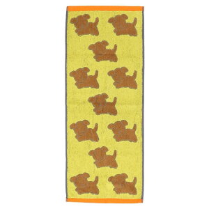 ~btB[ tFCX^I WK[h^I u[iXibtB[ fBbNu[i  v[g G{LN^[ ObY [։ Vl}RNV