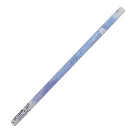 鉛筆 マット軸鉛筆2B MEMORY SKY カミオジャパン 新学期準備雑貨 かわいい グッズ メール便可 シネマコレクション