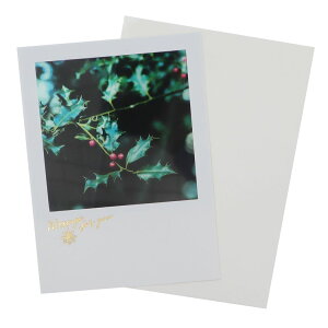 クリスマスカード シアーポストカード 柊の赤い実 APJ 封筒付きグリーティングカード Xmas グッズ メール便可 シネマコレクション