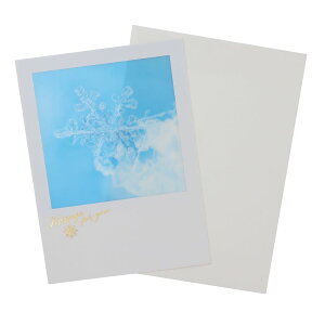 クリスマスカード シアーポストカード 雪の結晶 APJ 封筒付きグリーティングカード Xmas グッズ メール便可 シネマコレクション