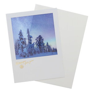 クリスマスカード シアーポストカード 星屑の光 APJ 封筒付きグリーティングカード Xmas グッズ メール便可 シネマコレクション