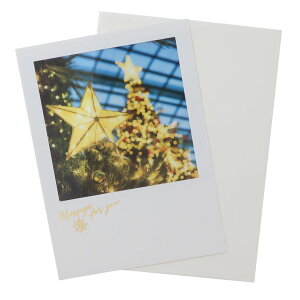 NX}XJ[h VA[|XgJ[h X^[Cg APJ tO[eBOJ[h Xmas ObY [։ Vl}RNV