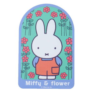 ~btB[ LN^[XebJ[ _CJbgV[ Ԕ fBbNu[i X[vlbg fRV[ G{LN^[ ObY [։ Vl}RNV