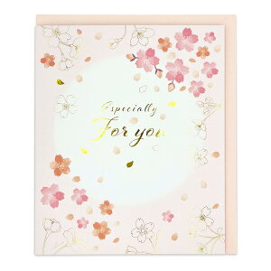 F ܂F  N[Ys bZ[W{[h 񂹏 ƋLO ObY Vl}RNV