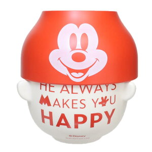 ミッキーマウス 茶碗 D100 汁椀茶碗セットミニ ディズニー サンアート 食器セット ギフト かわいい キャラクター グッズ シネマコレクション
