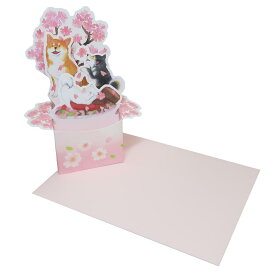 【ポイント10倍 & クーポン！】村田夏佳 グリーティングカード しばいぬと春BOXカード 88h アクティブコーポレーション 封筒付き メッセージカード グッズ メール便可 シネマコレクション