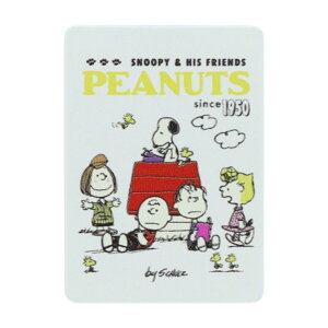 Xk[s[ Nbv ؐNbv AC{[ s[ibc TX^[ ސ ItBX 킢 LN^[ ObY [։ Vl}RNV